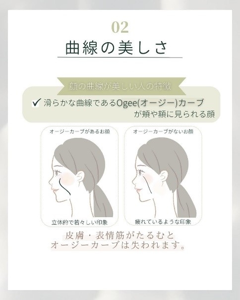 美人顔　曲線の美しさ