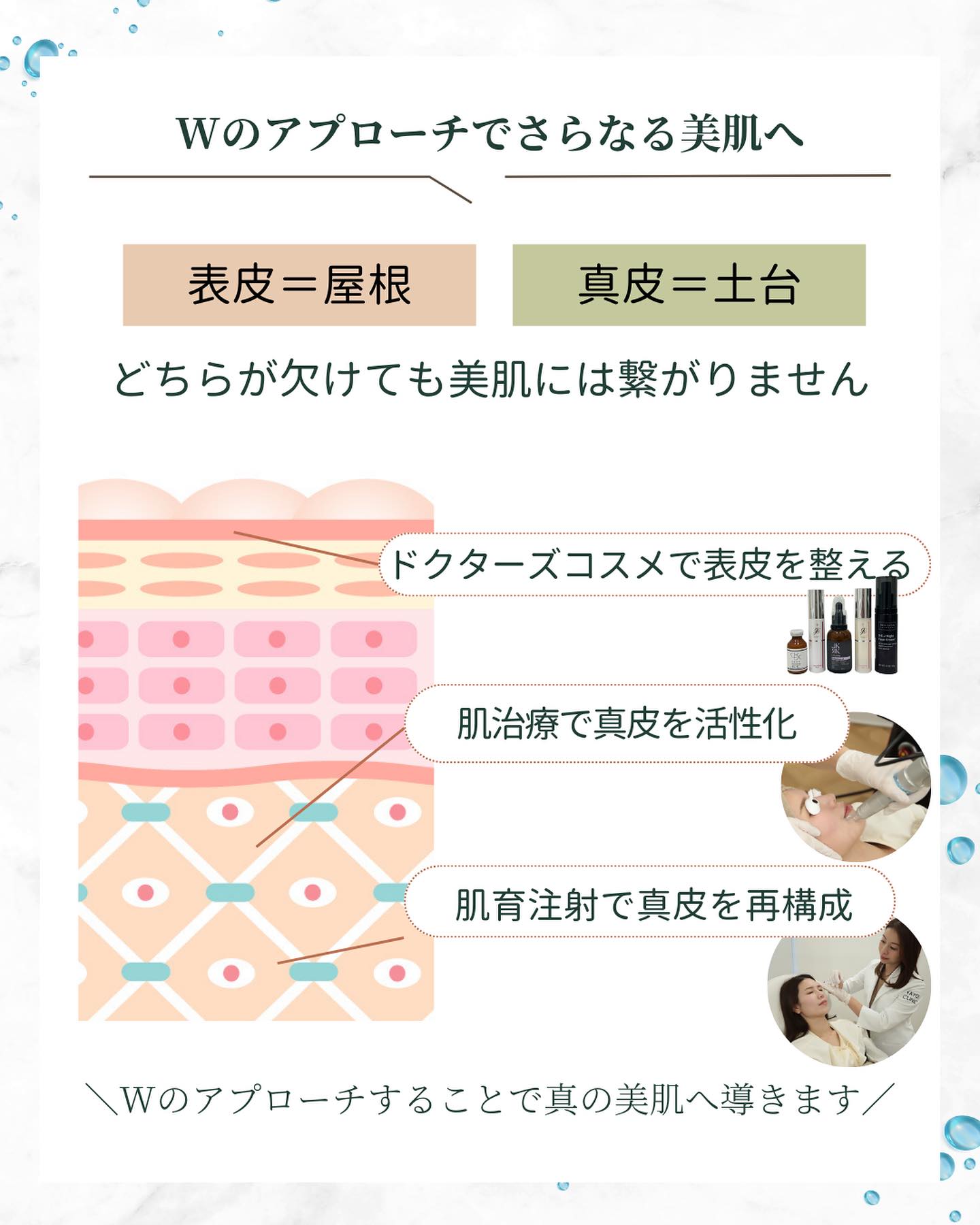 美肌 表皮ケア 真皮ケア