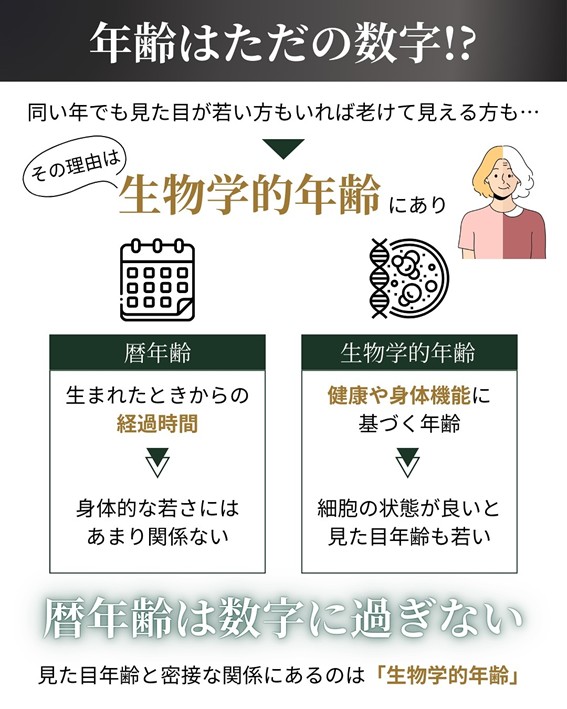 暦年齢　生物学的年齢　違い