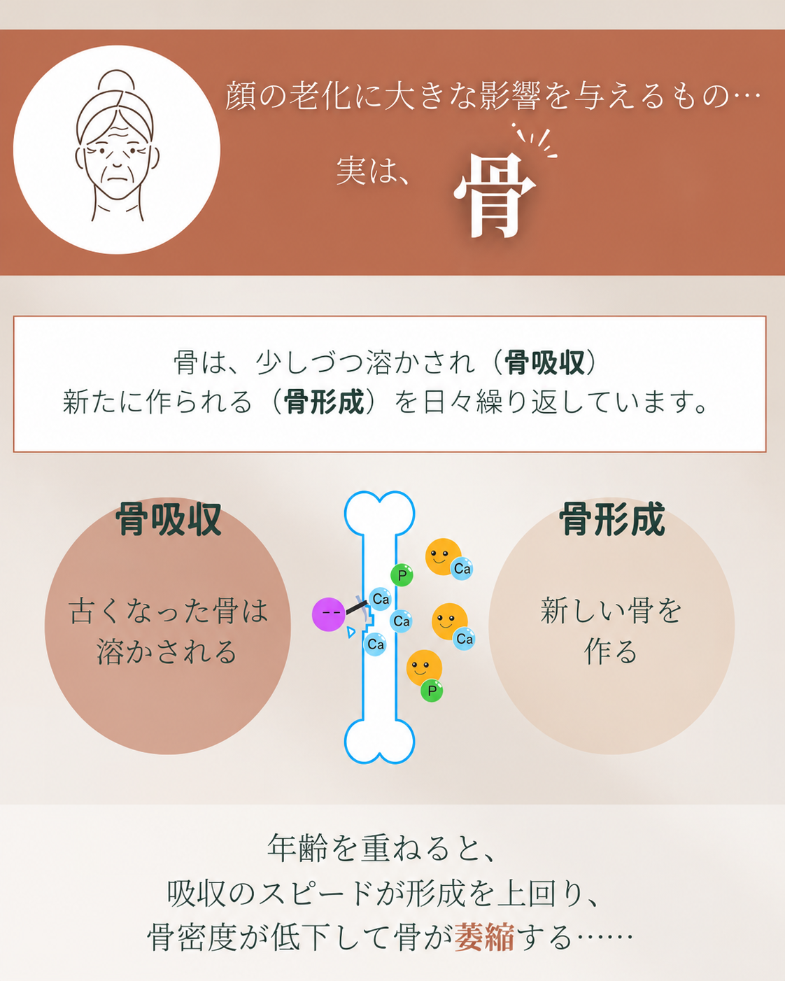 顔の老化に大きな影響を与えるものは骨！
